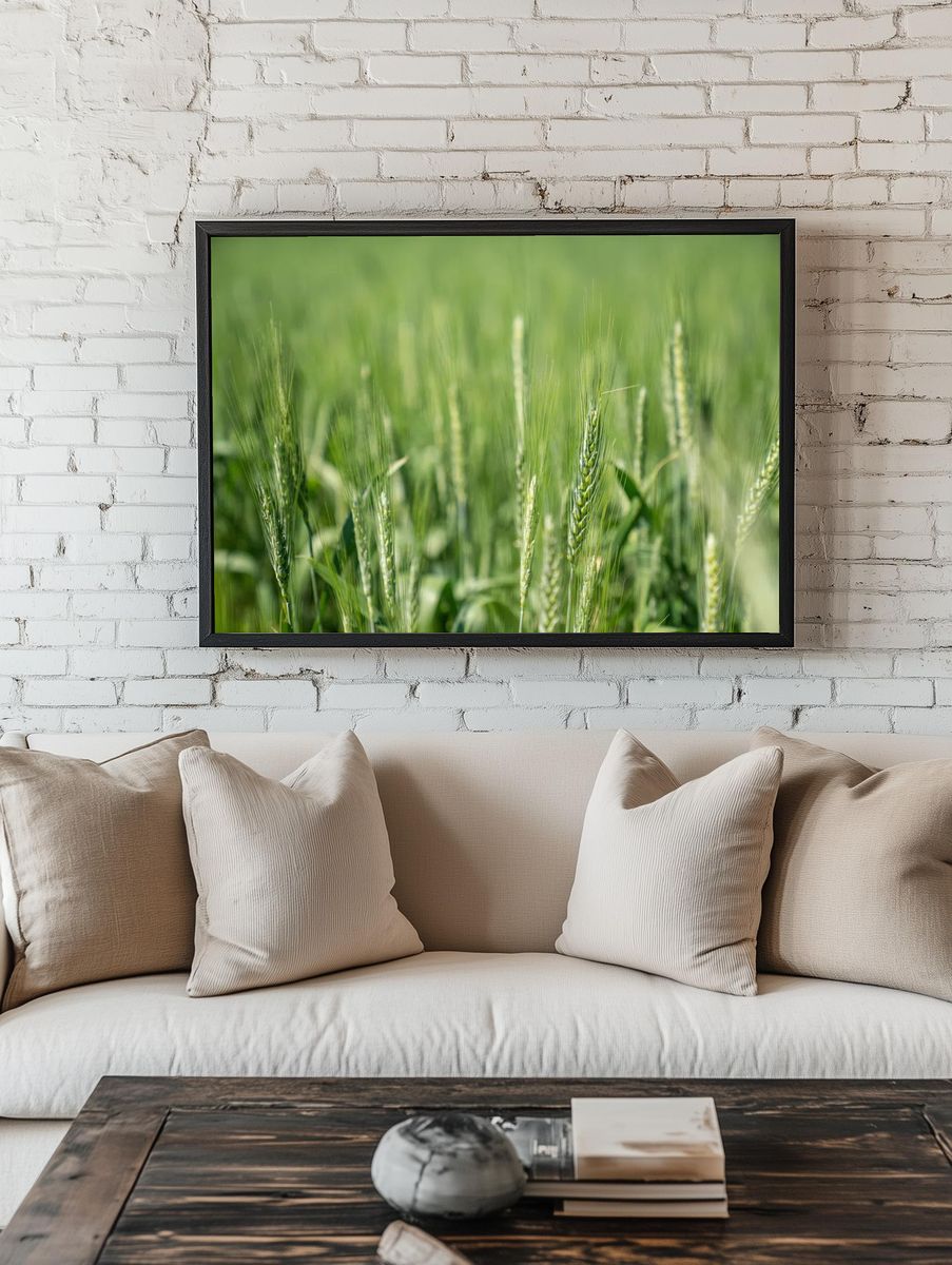 Wheat Field Close-Up — Nature Print room preview