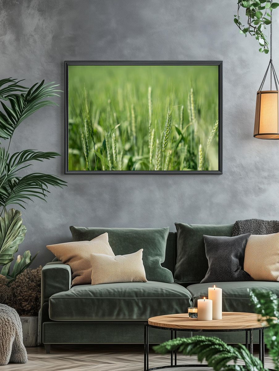 Wheat Field Close-Up — Nature Print. — room view 4