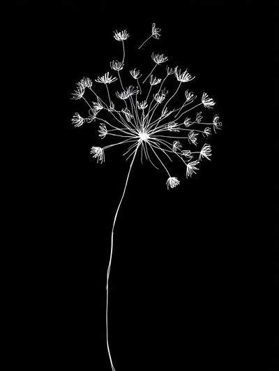 White Flower Silhouette — Minimalist Print