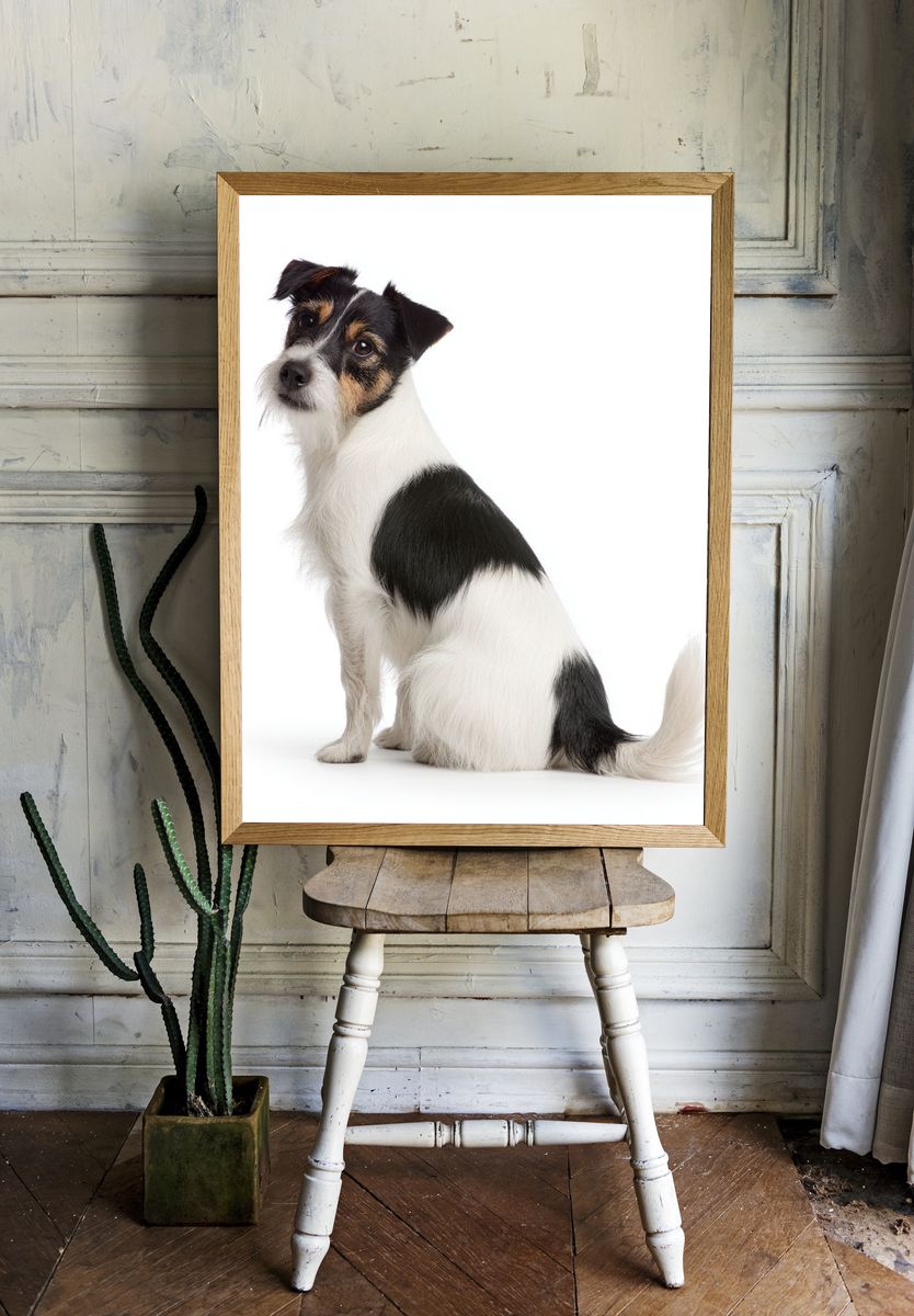 Wire Fox Terrier Portrait Poster. — room view 1