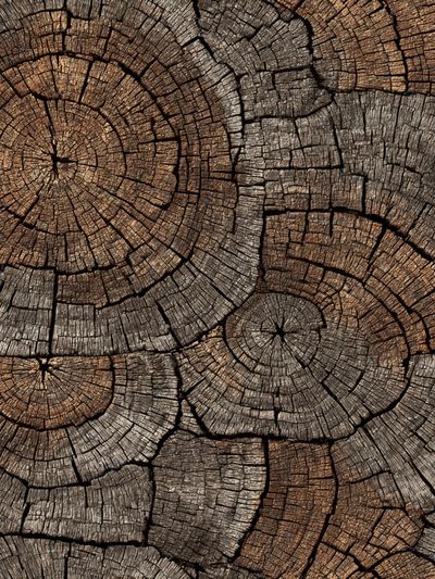 Wood Grain Texture Poster.