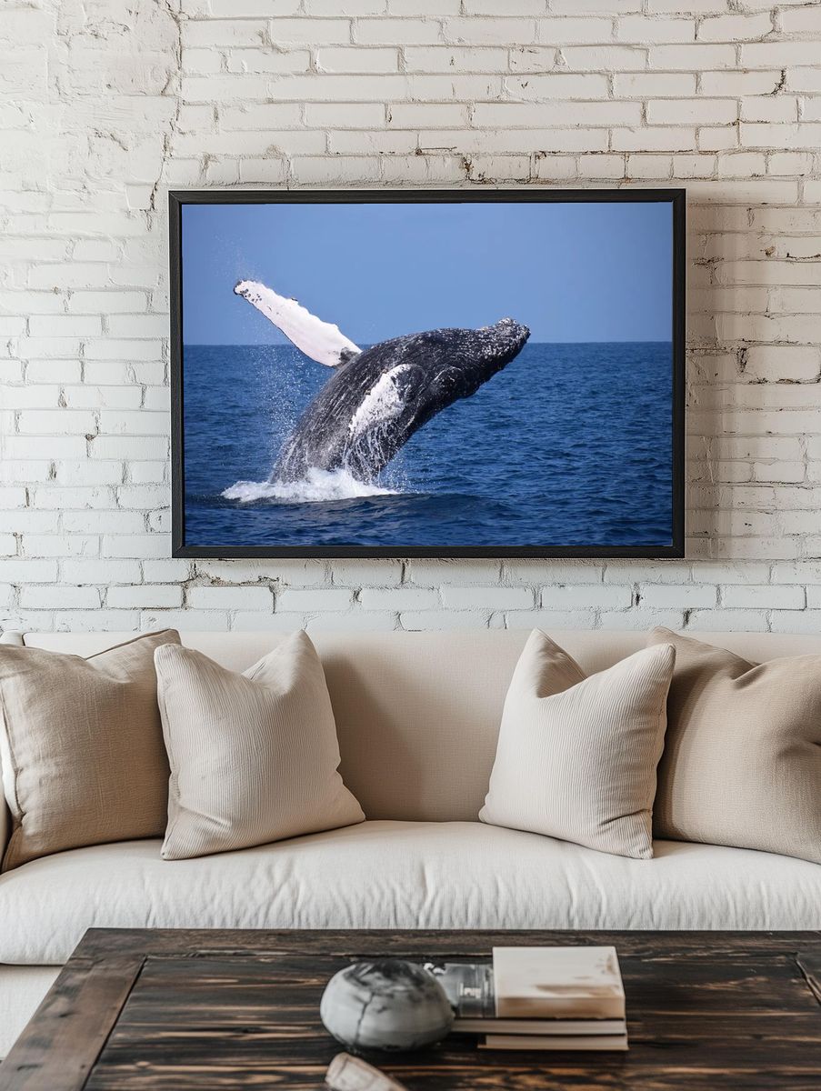 Humpback Whale Breaching — Nature Photography Print. — room view 1