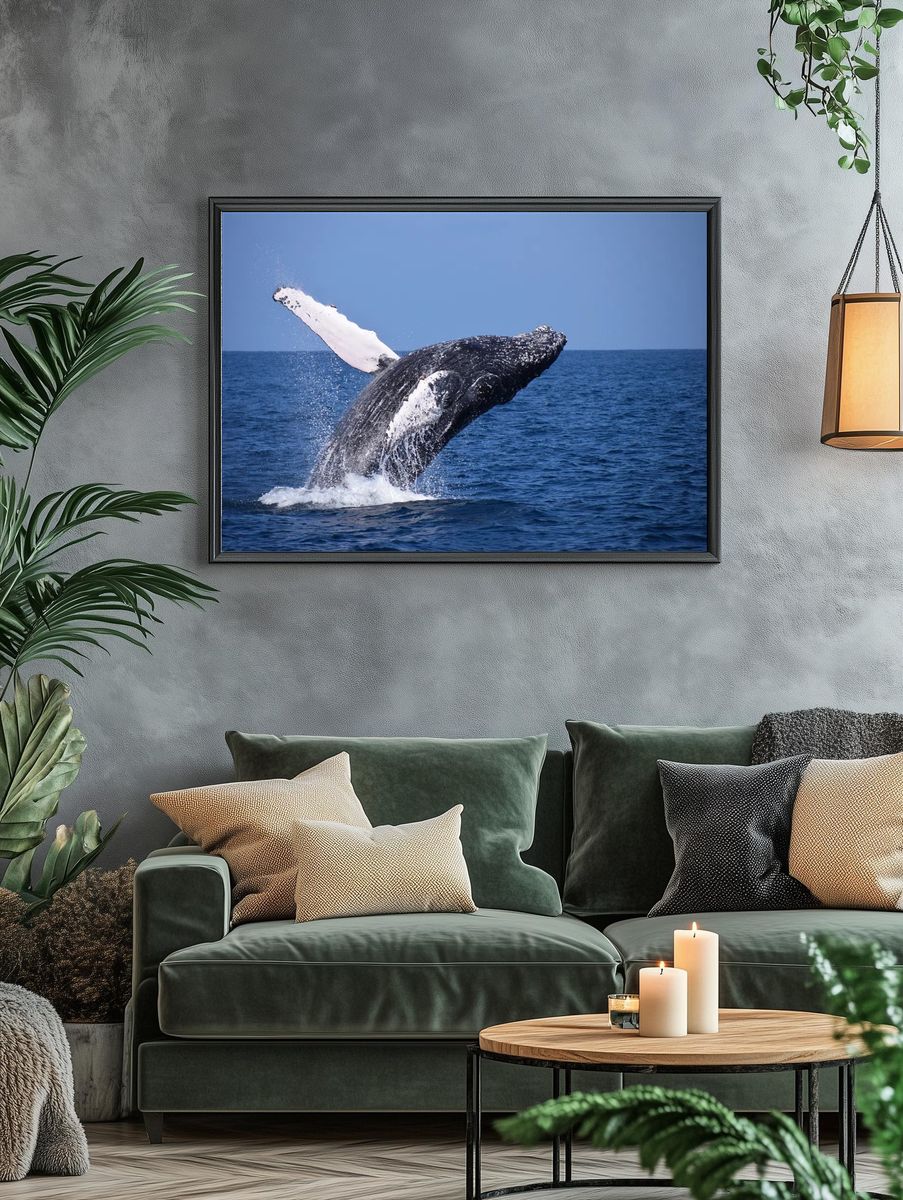 Humpback Whale Breaching — Nature Photography Print. — room view 4