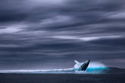 Humpback Whale Breaching — Ocean Photography Print. poster print