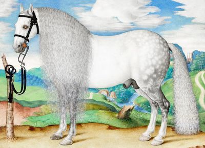 White Horse Surrealist Print. poster print