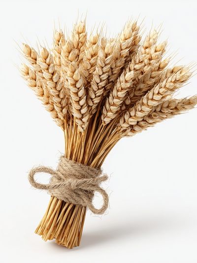 Wheat Bouquet — Botanical Print. poster