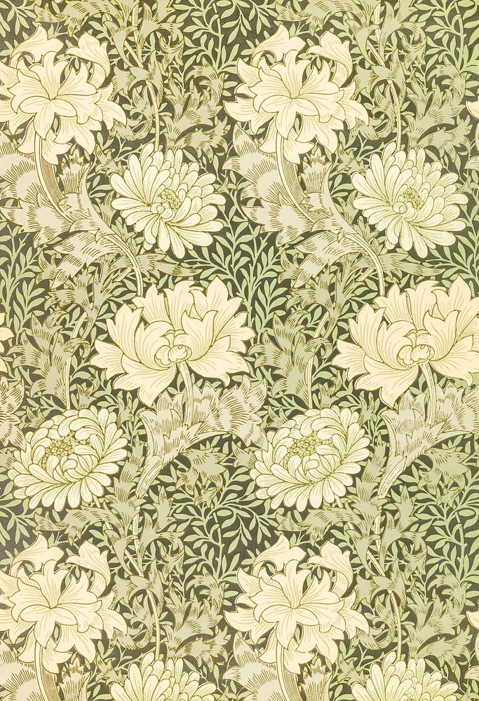 Chrysanthemum by William Morris (1877) — Art Print. poster detail