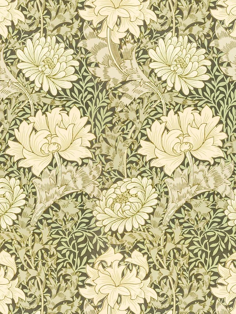 William Morris's vintage chrysanthemum flower. poster — botanical art