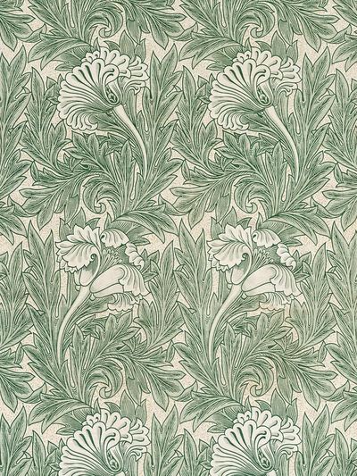 Green Tulip by William Morris — Vintage Print. poster