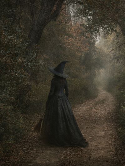 Witch in Misty Forest Photography Poster.