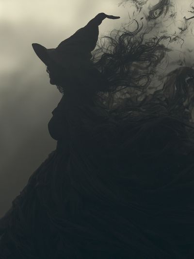 Witch Silhouette Smoke Poster. poster