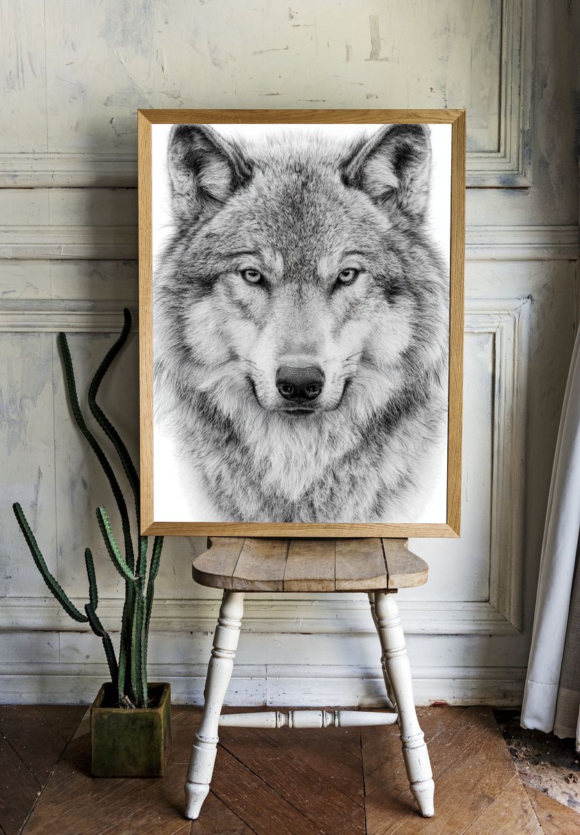 Wolf Portrait Black-White Poster. room preview