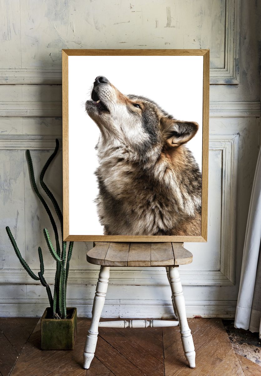Howling Wolf — Animal Print. — room view 1