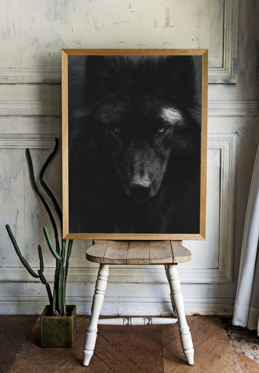 Black Wolf Portrait Print. room preview