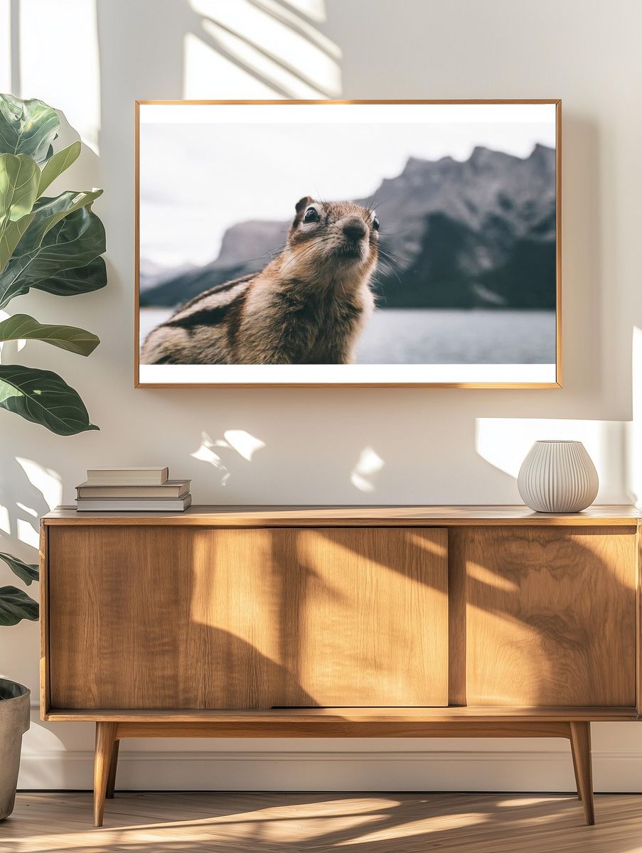 Curious Chipmunk — Wildlife Photography Poster. — room view 3