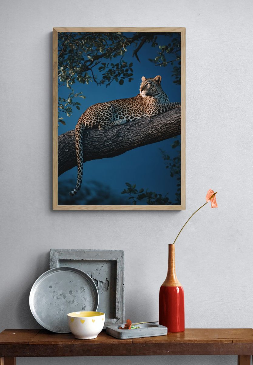 Leopard in Tree — Wildlife Photography Poster. — room view 3