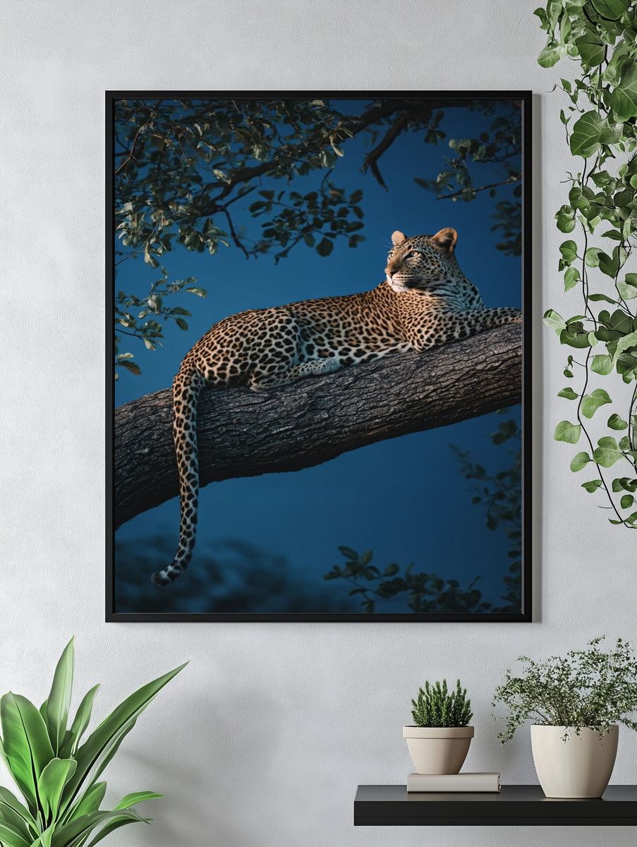 Leopard in Tree — Wildlife Photography Poster. — room view 4