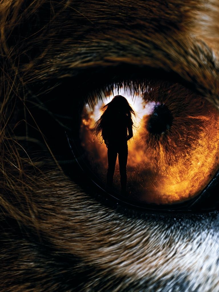 Wolf Eye Surrealism Print. poster — fine-art art