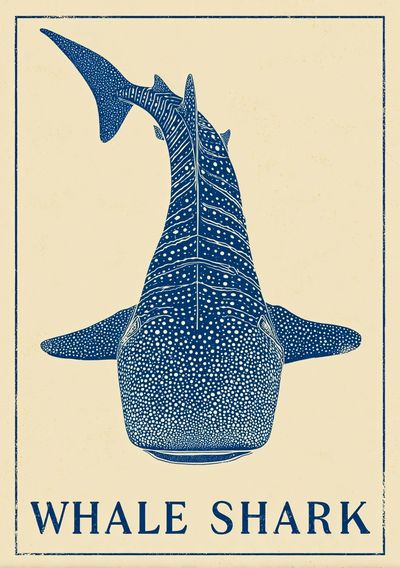 Whale Shark — Vintage Print. poster print