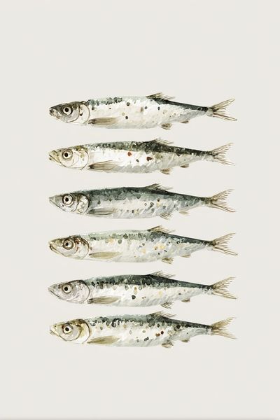 Watercolor Sardines Poster. poster