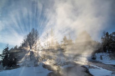Winter Sunrise — Nature Poster. poster