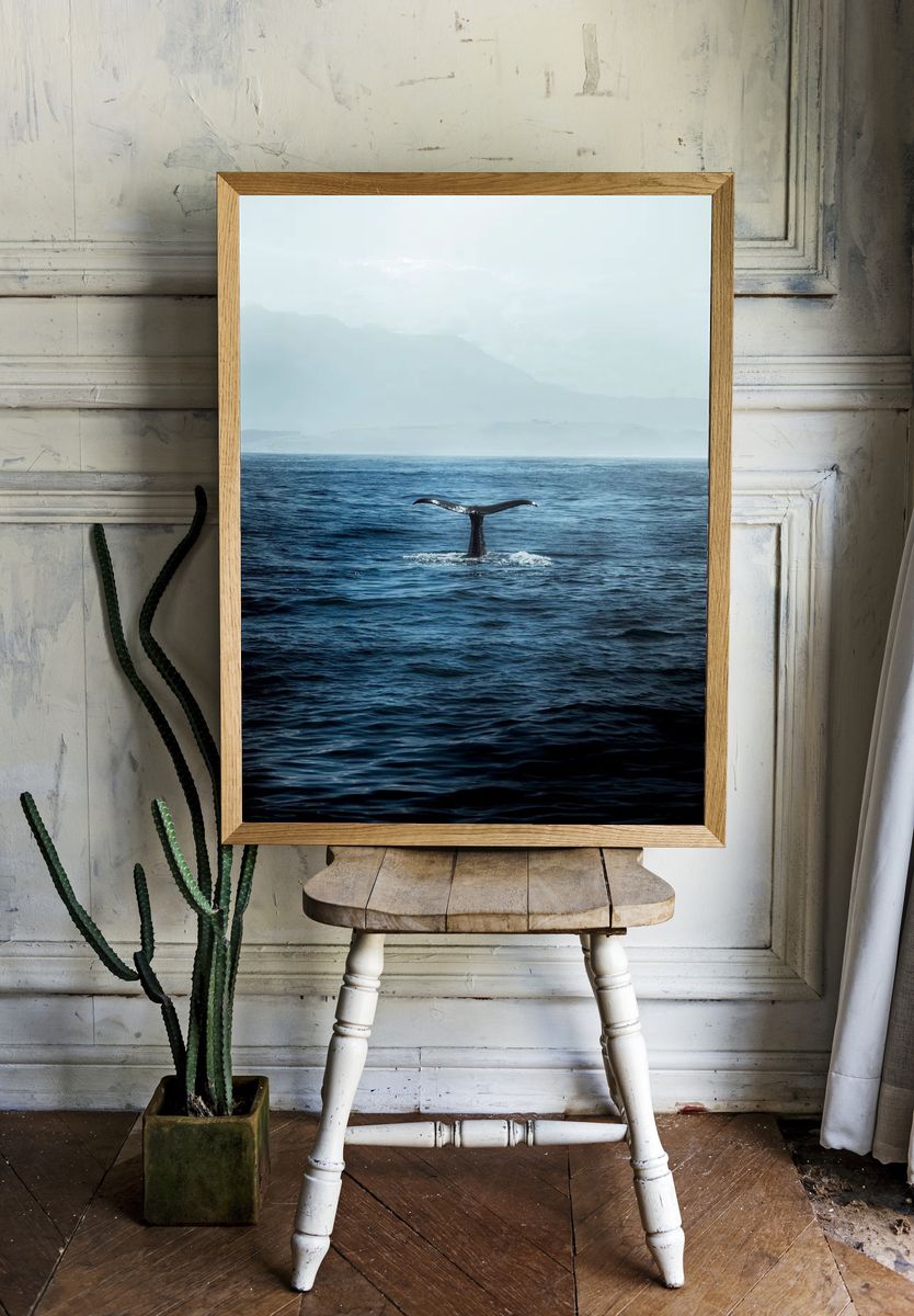 Whale Tail in Ocean — Photography Print room preview