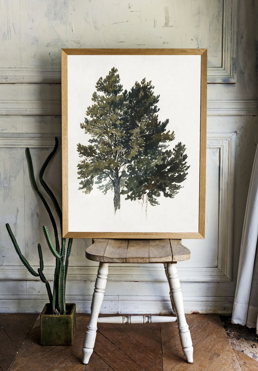 Majestic Trees — Watercolor Print. — room view 1