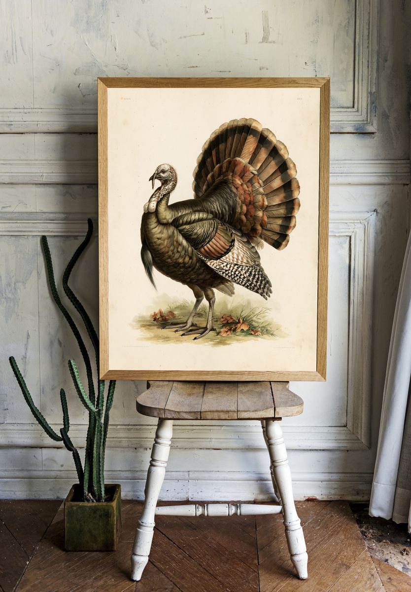 Wild Turkey Vintage Illustration Poster. room preview