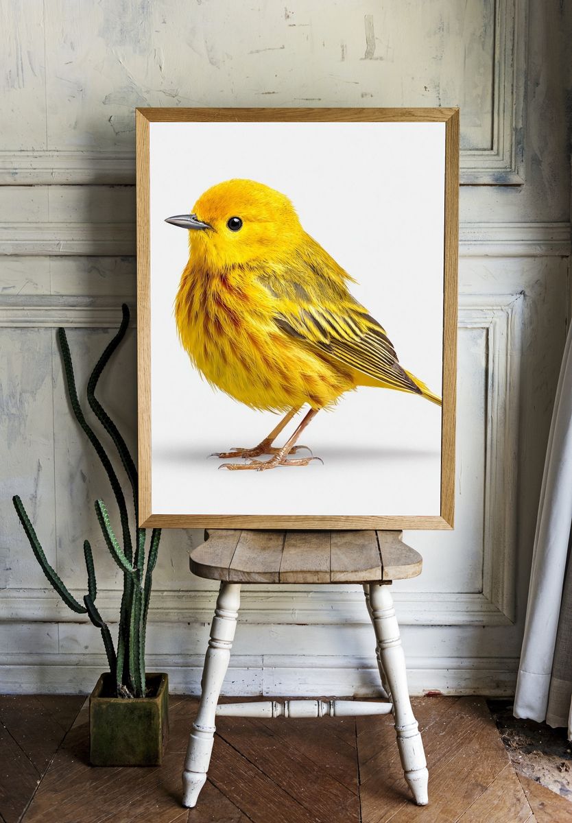 Yellow Bird — Illustration Print. — room view 1