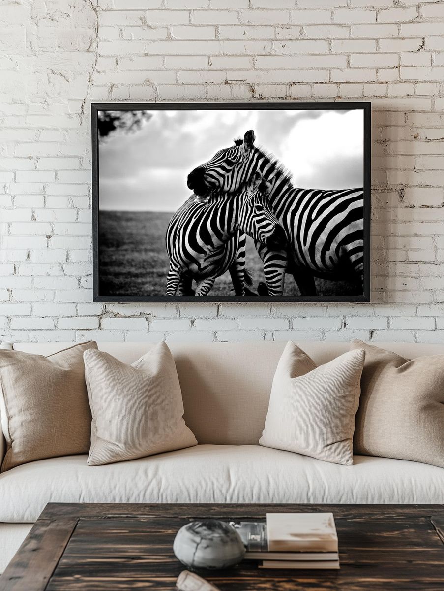 Zebras in Love — Black-White Print. — room view 1