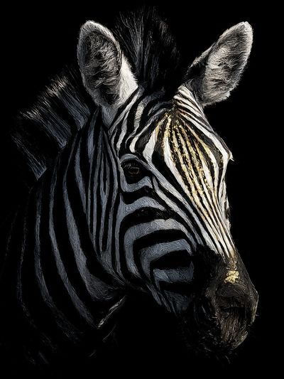Majestic Zebra Portrait Poster. poster