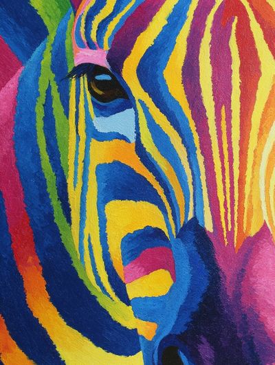 Colorful Zebra Portrait Poster. poster print