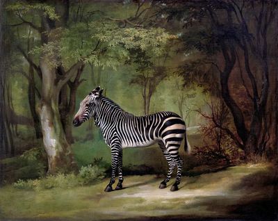 Zebra (1763) painting high resolution. poster print