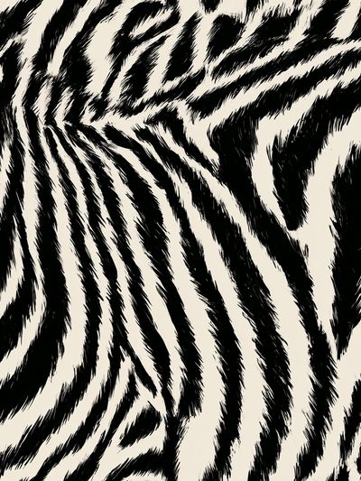 Zebra Stripe Pattern Print. poster