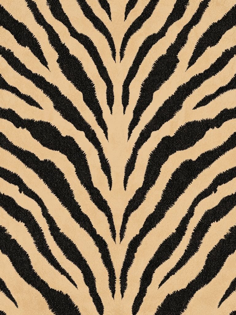Zebra Stripes Abstract Print. poster — animals art