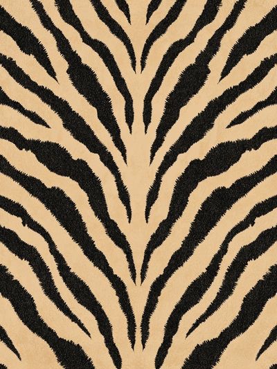 Zebra Stripes Abstract Print.
