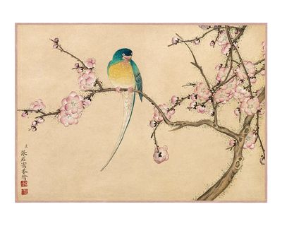 Colorful Bird on Cherry Blossom Branch — Illustration Print. poster print