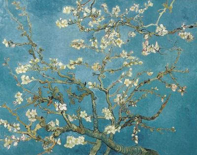 Almond Blossom — Fine Art Print. poster