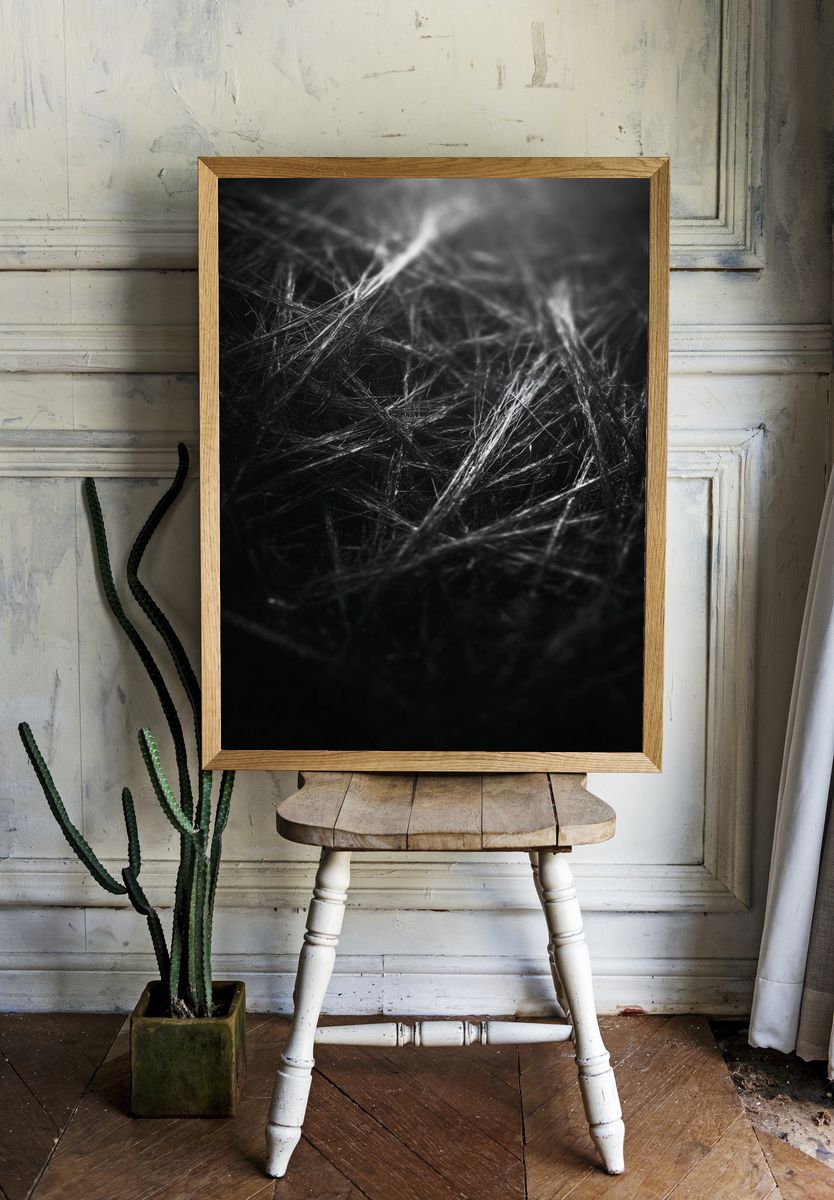 Abstract Scribbles — Black-White Print. — room view 1