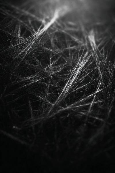 Abstract Scribbles — Black-White Print. poster print