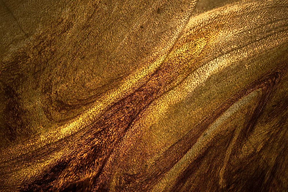 Dark gold paint textured background. poster detail