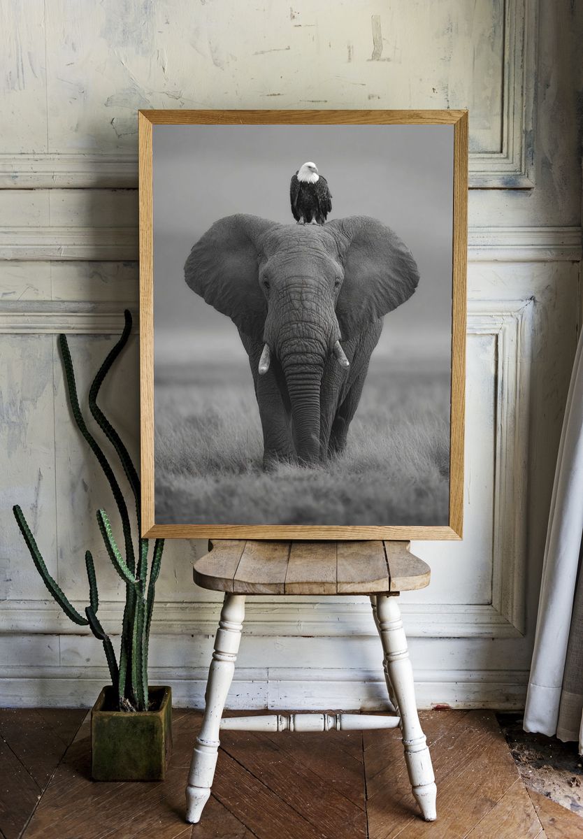 Elephant and Eagle — Black-White Print. — room view 1