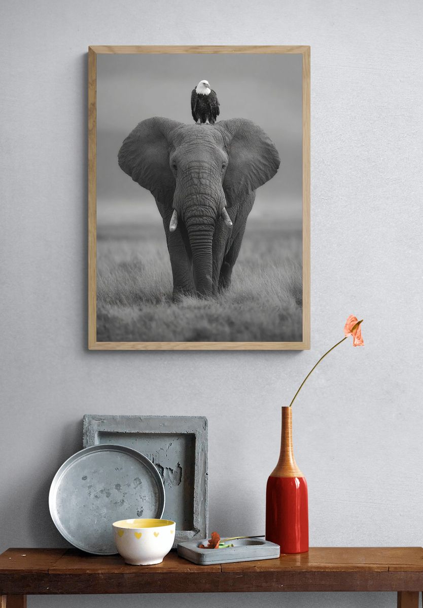 Elephant and Eagle — Black-White Print. — room view 3