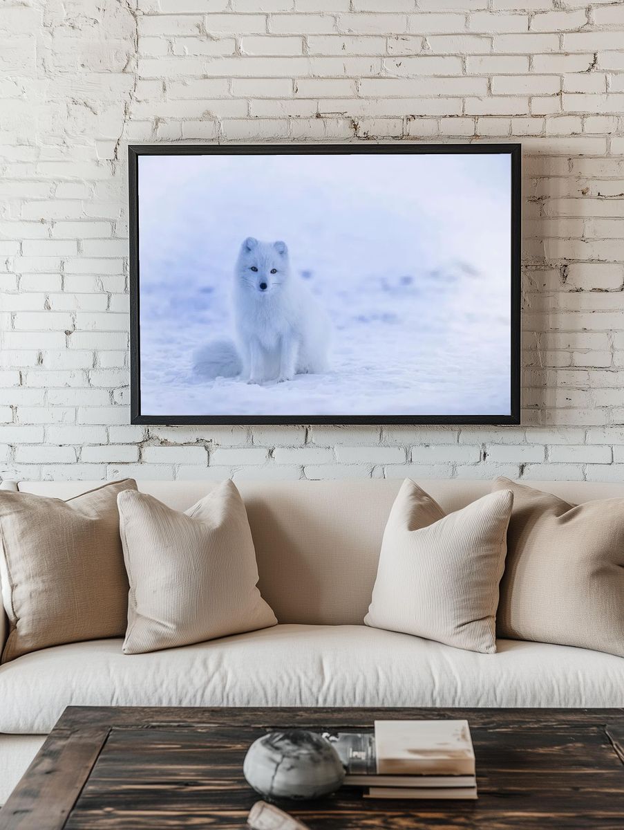Arctic Fox in Snow — Photography Print. — room view 1