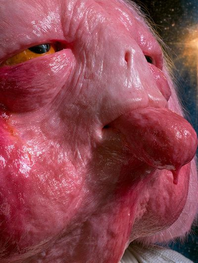 Pink Alien Portrait Print. poster