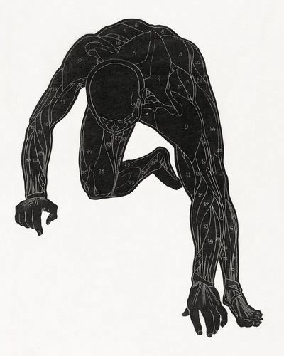 Anatomical study man's neck, arm. poster