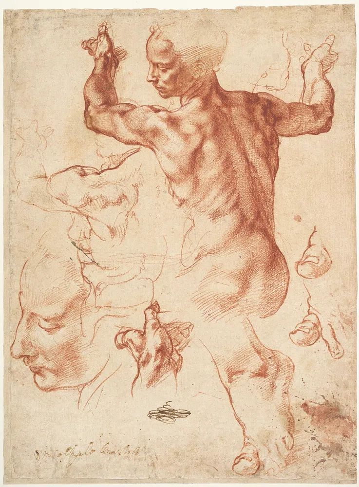 Studies Libyan Sibyl (recto); Studies. poster — illustration art