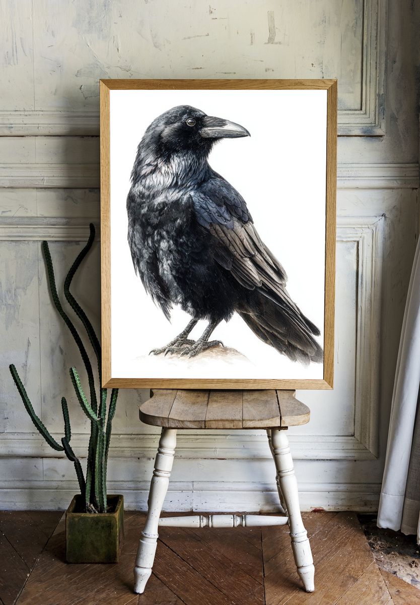 Raven Portrait Illustration Poster. — room view 1