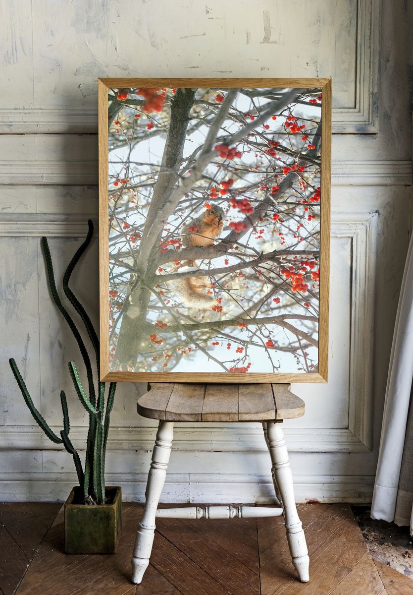 Winter Squirrel in Berry Tree Poster. — room view 1