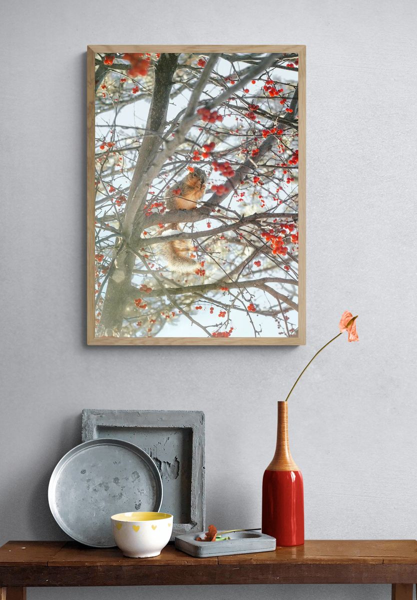 Winter Squirrel in Berry Tree Poster. — room view 3